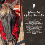 regalolaloma
