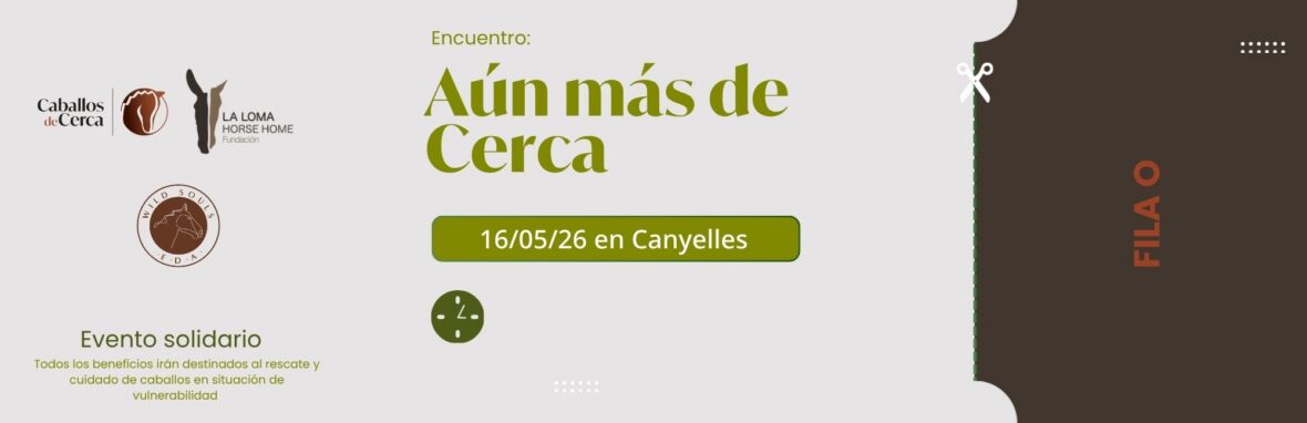 Entrada FILA 0